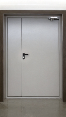 Полуторная глухая дверь